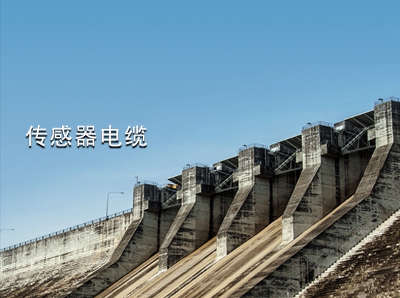 传感器电缆