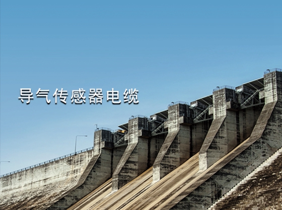 导气传感器电缆